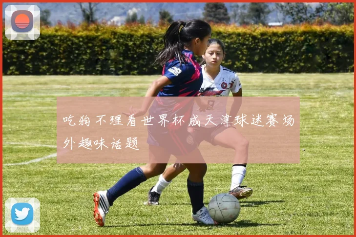 吃狗不理看世界杯成天津球迷赛场外趣味话题